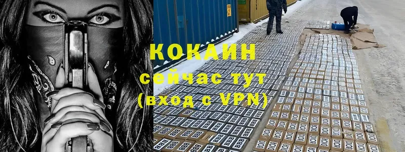 COCAIN Columbia  как найти   Белово 